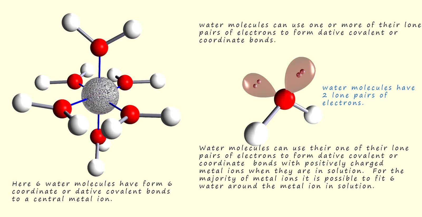 Water molecules forming a hydrated complex by surrounding a metal ion in solution.  3d model showing the hydrated metal ion.